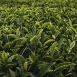 Banner-10